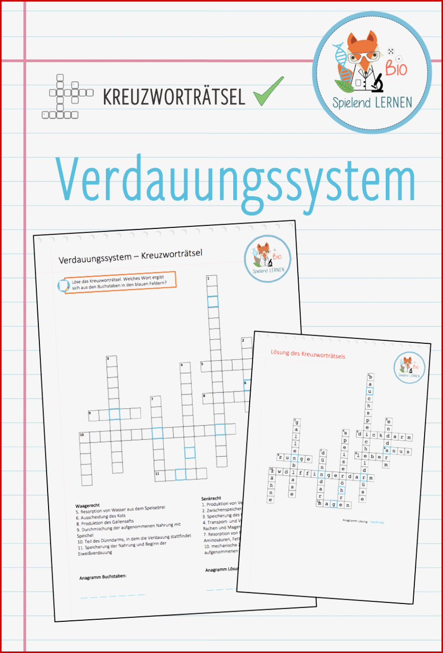 Verdauungsorgane Arbeitsblatt Neue Arbeitsblätter