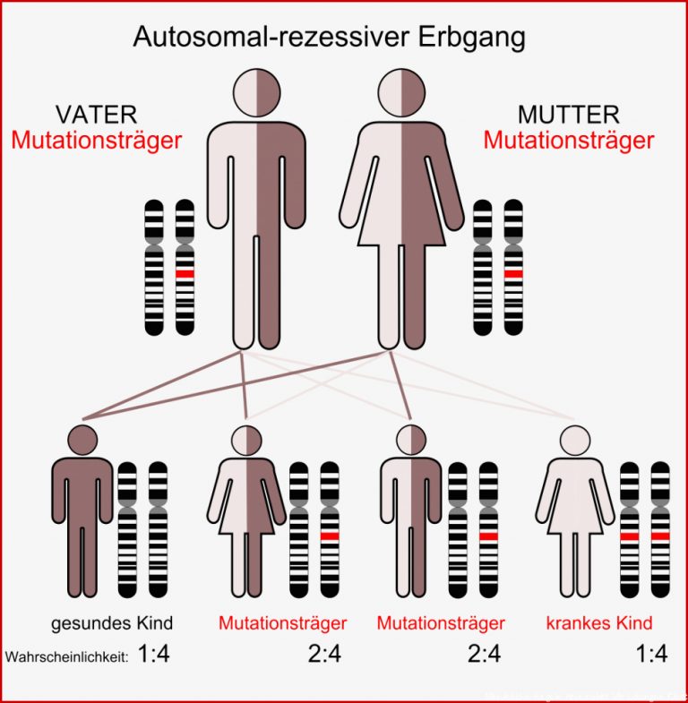 Vererbung | Mukoviszidose e.V.