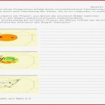 Vergleich Mitose Meiose Arbeitsblatt