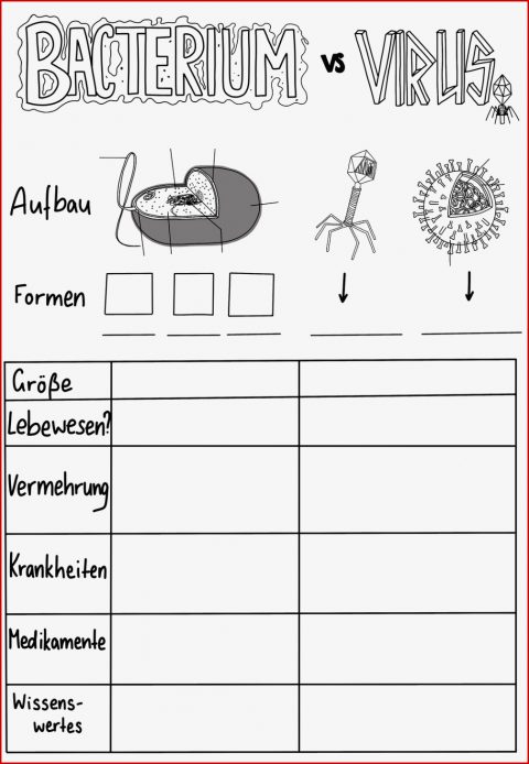Vergleich Viren Bakterien Arbeitsblatt Robert Hackett Schule
