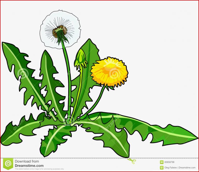 [View 26 ] Bild Löwenzahn Kostenlos