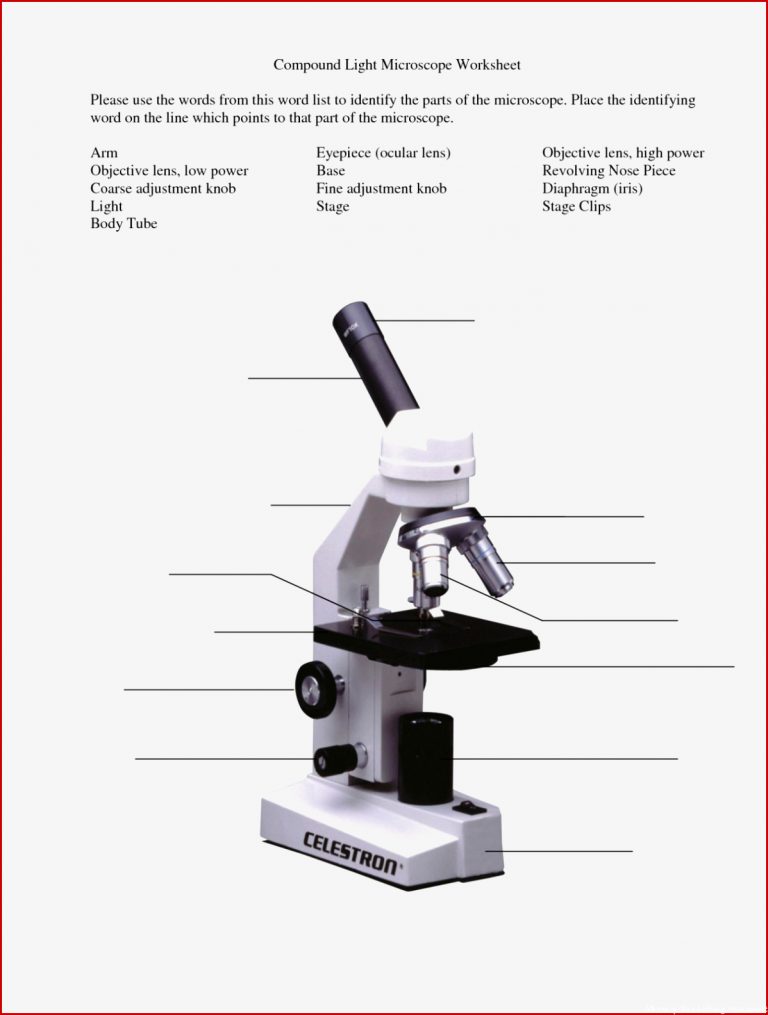 View Label Parts A Microscope Worksheet Pics – Berita