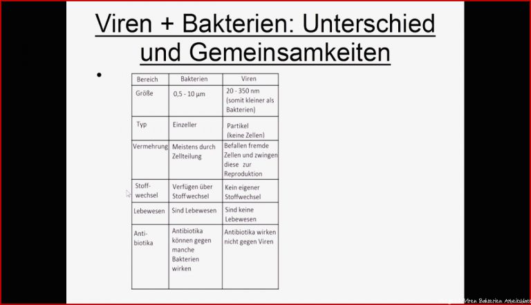 Viren Und Baktieren Unterschiede Und Gemeinsamkeiten