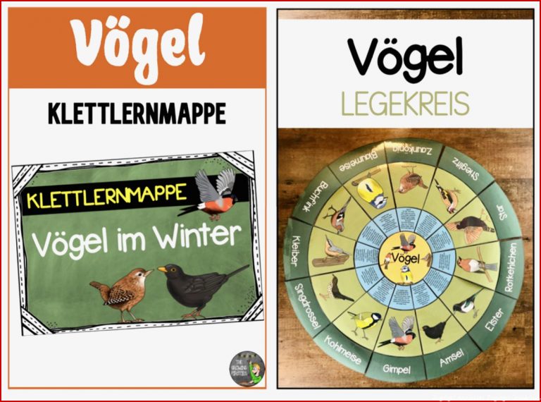 VÖGEL DAS PAKET – Unterrichtsmaterial in den Fächern