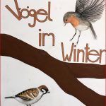 Vögel Im Winter Grundschule Heute Sind Wir In Das Neue