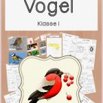 Vögel Im Winter Grundschule Heute Sind Wir In Das Neue