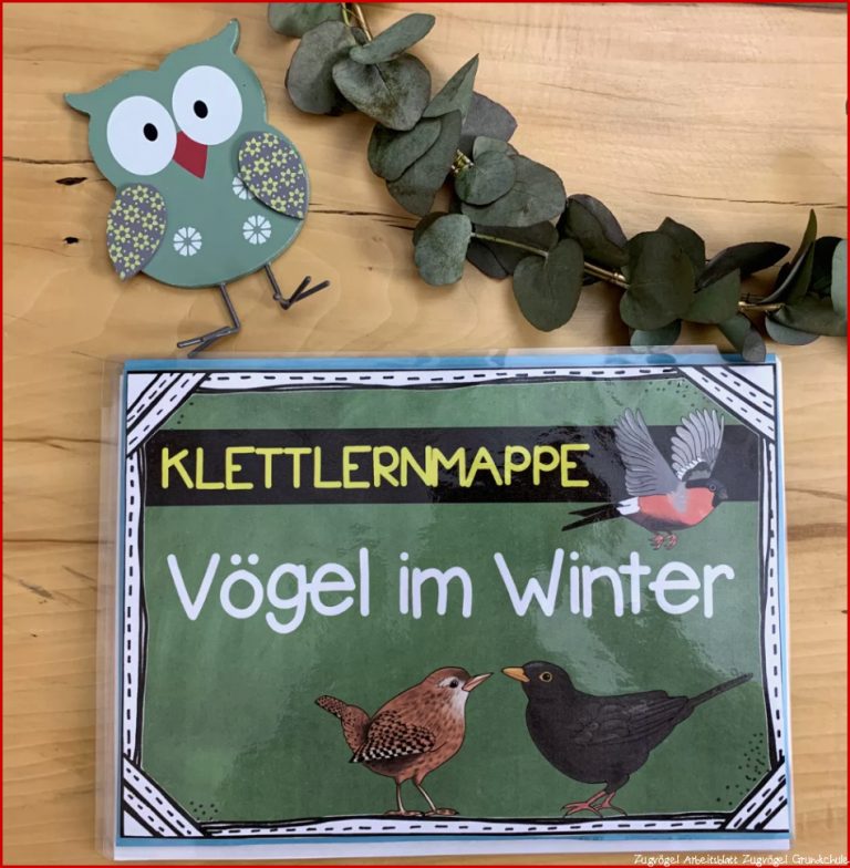 Vögel im Winter Klettlernmappe – Unterrichtsmaterial in