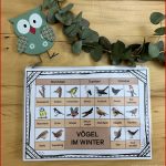 Vögel Im Winter Klettlernmappe – Unterrichtsmaterial In