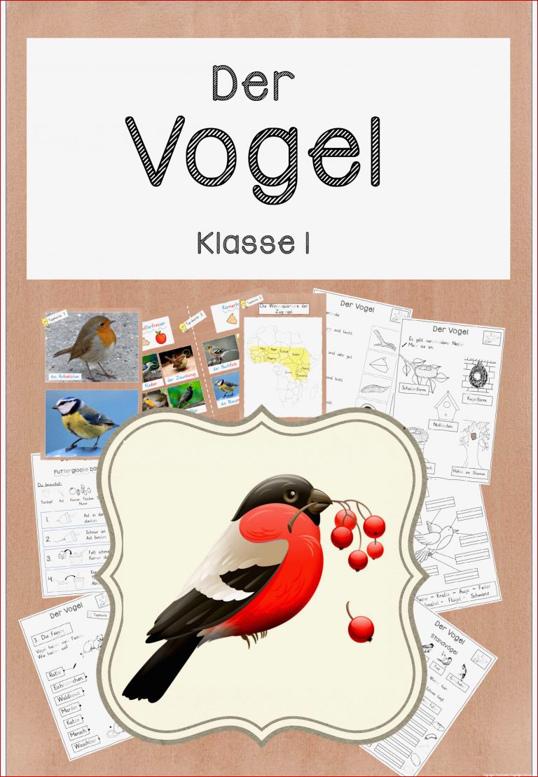 Vögel Kostenlose Arbeitsblätter