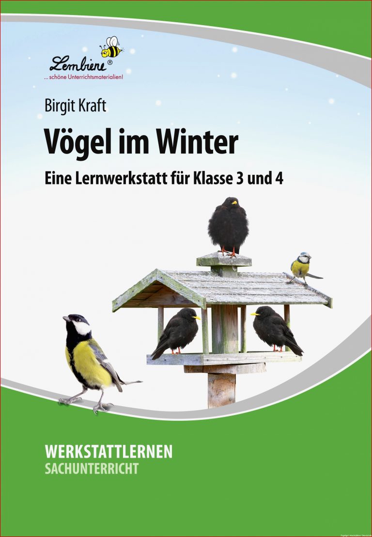 Vögel Zählen Zu Den Wenigen Tierarten Sich In