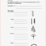 Volk Und Wissen Arbeitsblätter Worksheets