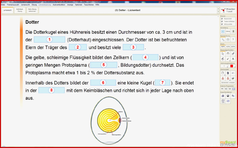 Vom Ei Zum Huhn Arbeitsblatt denis qibas