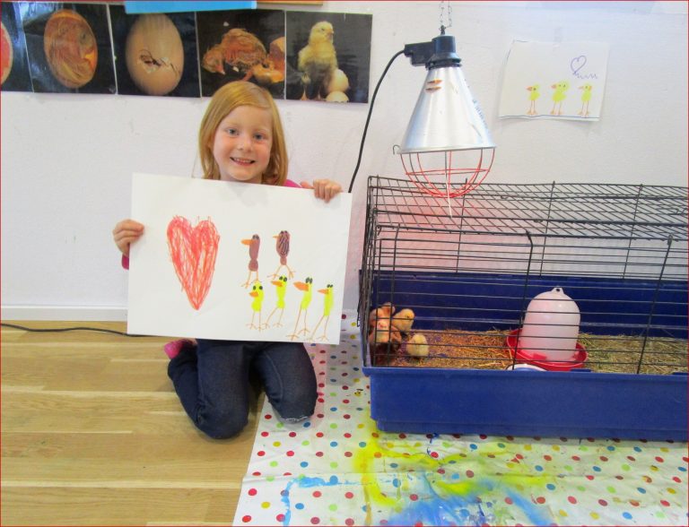 Vom Ei zum Huhn im Kindergarten Brändle Lustenau