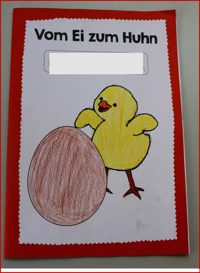 Vom Ei zum Huhn Teil 2 – Klassenkunst