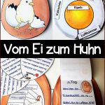 Vom Ei Zum Küken Huhn Bestoflmp2019 – Unterrichtsmaterial