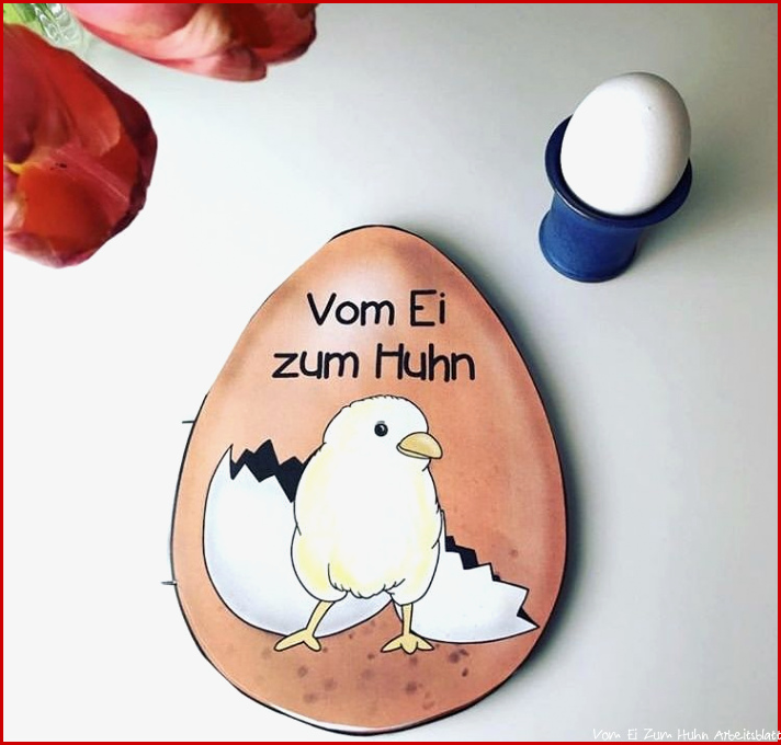 Vom Ei zum Küken Huhn bestoflmp2019 – Unterrichtsmaterial