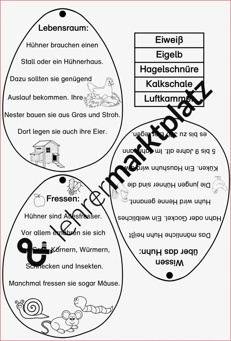 Vom Ei zum Küken Huhn – Unterrichtsmaterial in den Fächern