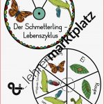 Vom Ei Zum Schmetterling Drehrad Bastel Vorlage