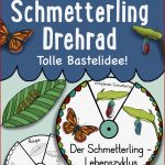 Vom Ei Zum Schmetterling Merkheft Zum Falten Ohne Kleben