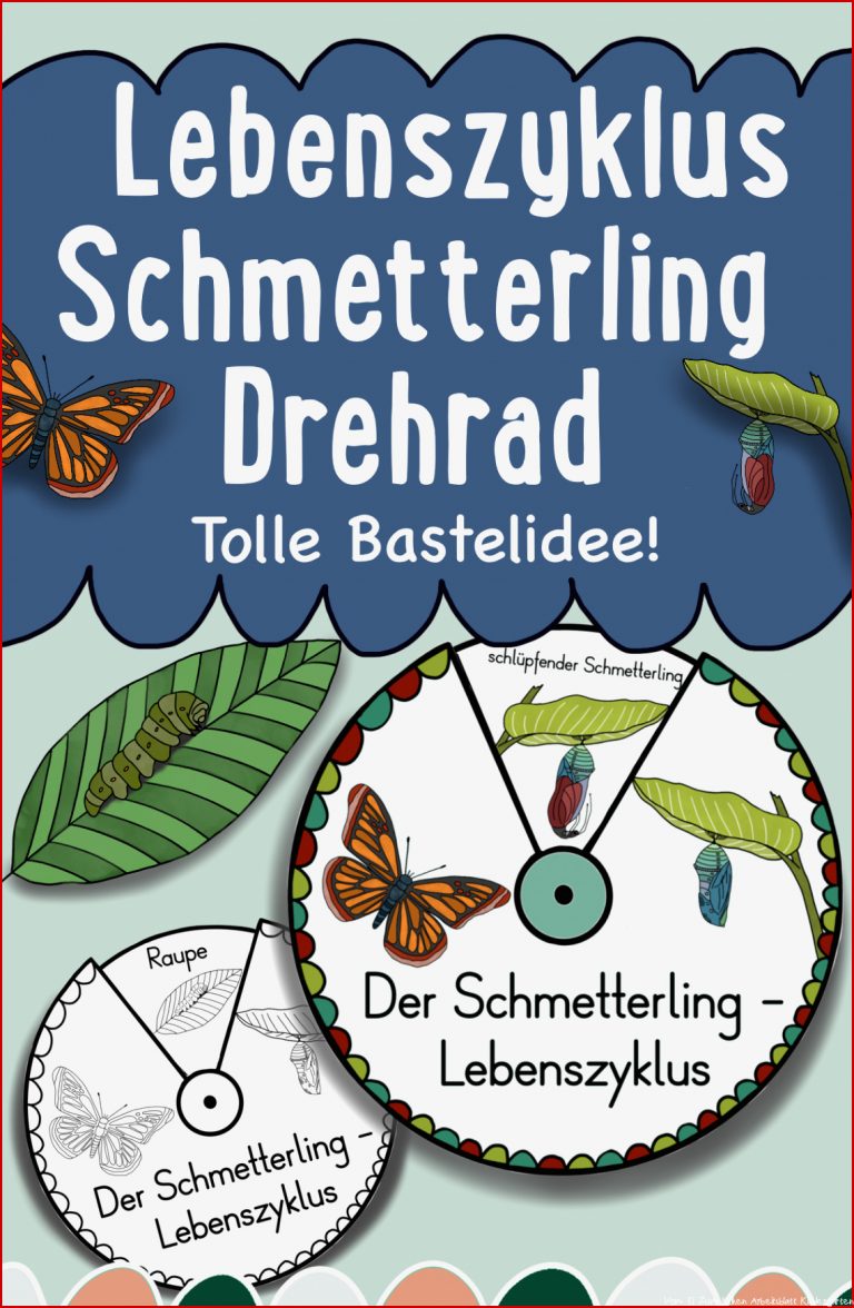 Vom Ei zum Schmetterling Merkheft zum Falten ohne Kleben