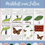 Vom Ei Zum Schmetterling Merkheft Zum Falten Ohne Kleben