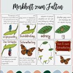 Vom Ei Zum Schmetterling Merkheft Zum Falten Ohne Kleben