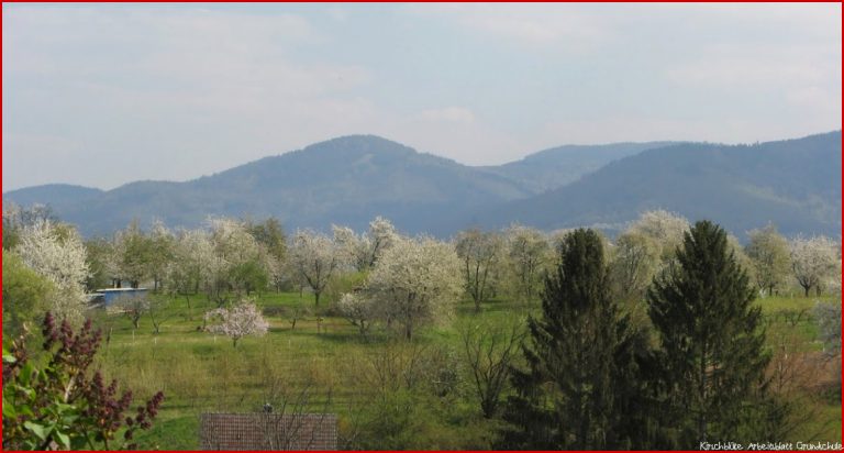 Von der Blüte zur Frucht