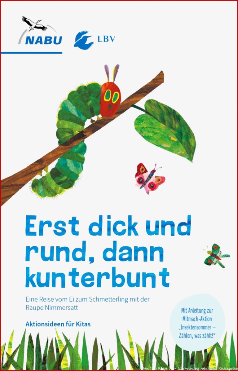 Von Der Raupe Zum Schmetterling Kindergarten