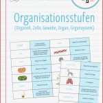 Von Der Zelle Zum organismus Arbeitsblatt Quotes Type