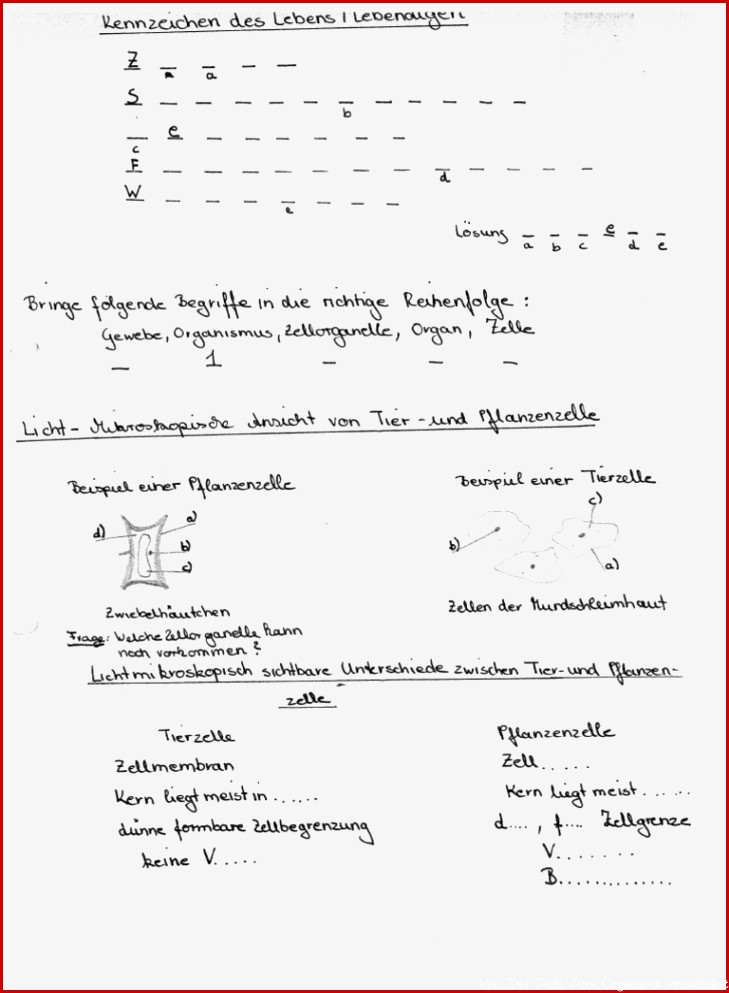 Von Der Zelle Zum Organismus Arbeitsblatt Quotes Type