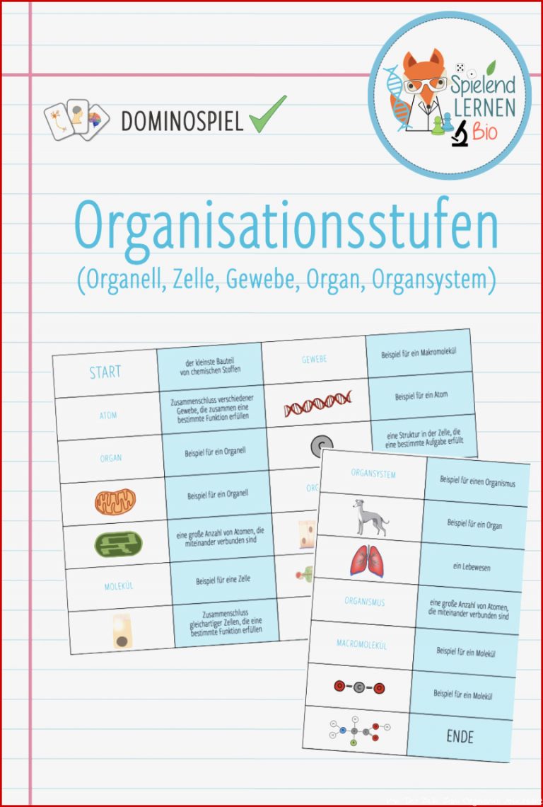 Von Der Zelle Zum Organismus Arbeitsblatt Quotes Type