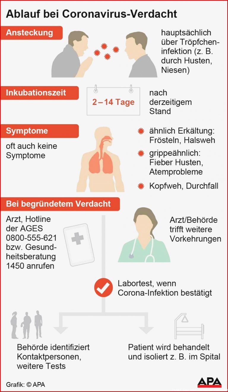 Vorarlberg bietet nun auch 1450 lineformular