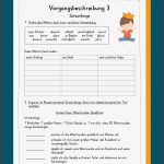 Vorgangsbeschreibung