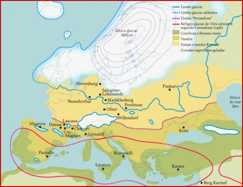 Vorkommen Von Vitis Sylvestris WÄhrend Der Eiszeit In
