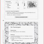 Vorschau Arbeitsblatt Meinunterricht