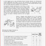 Vorschau Arbeitsblatt Meinunterricht