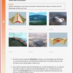 Vulkanformen – Unterrichtsmaterial Im Fach Erdkunde