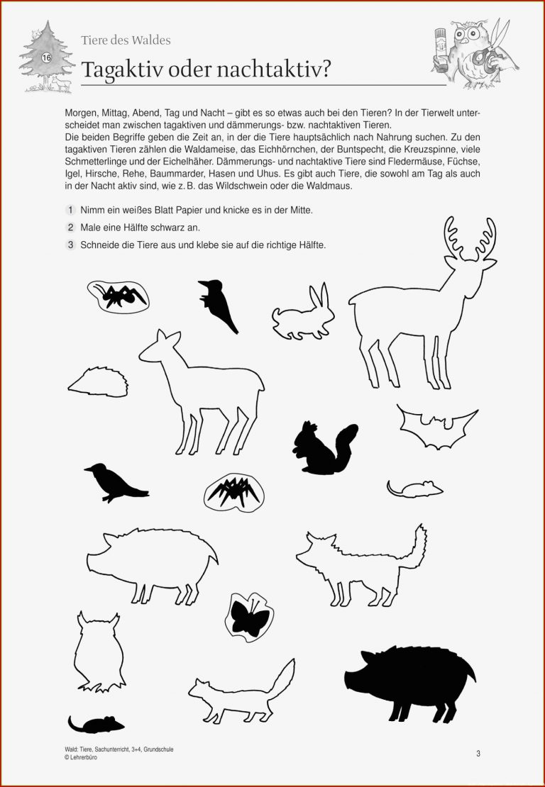Wald Als Lebensgemeinschaft Arbeitsblatt Neu Geschichte