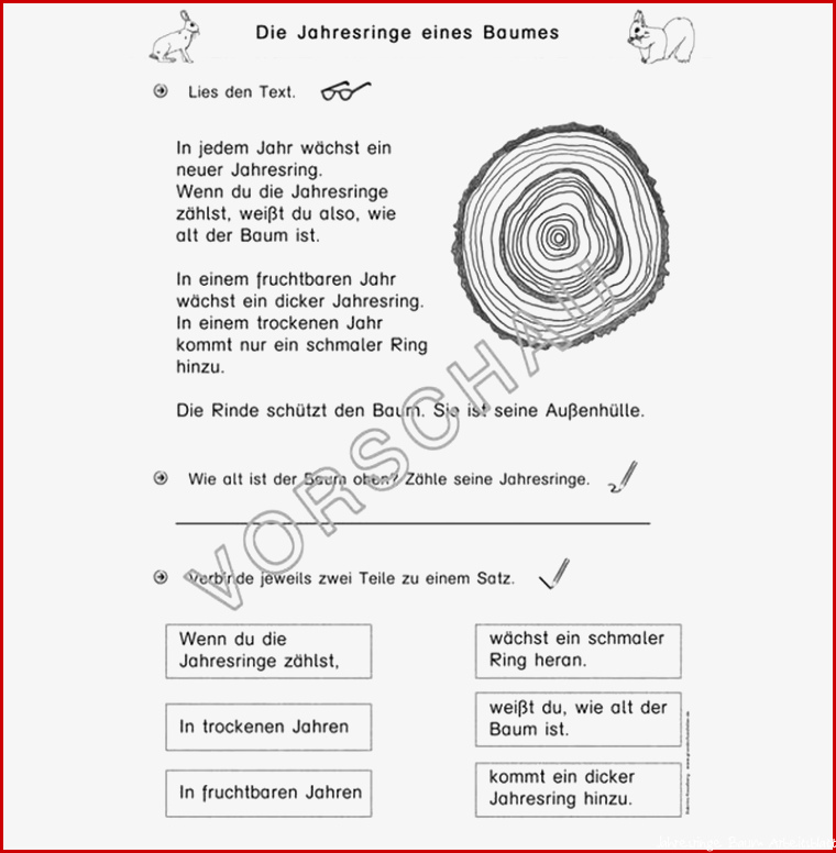 Wald Werkstatt für Grundschule