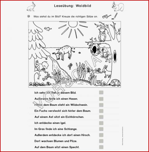 Wald Werkstatt Für Grundschule