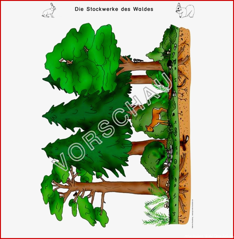 Wald Werkstatt für Grundschule