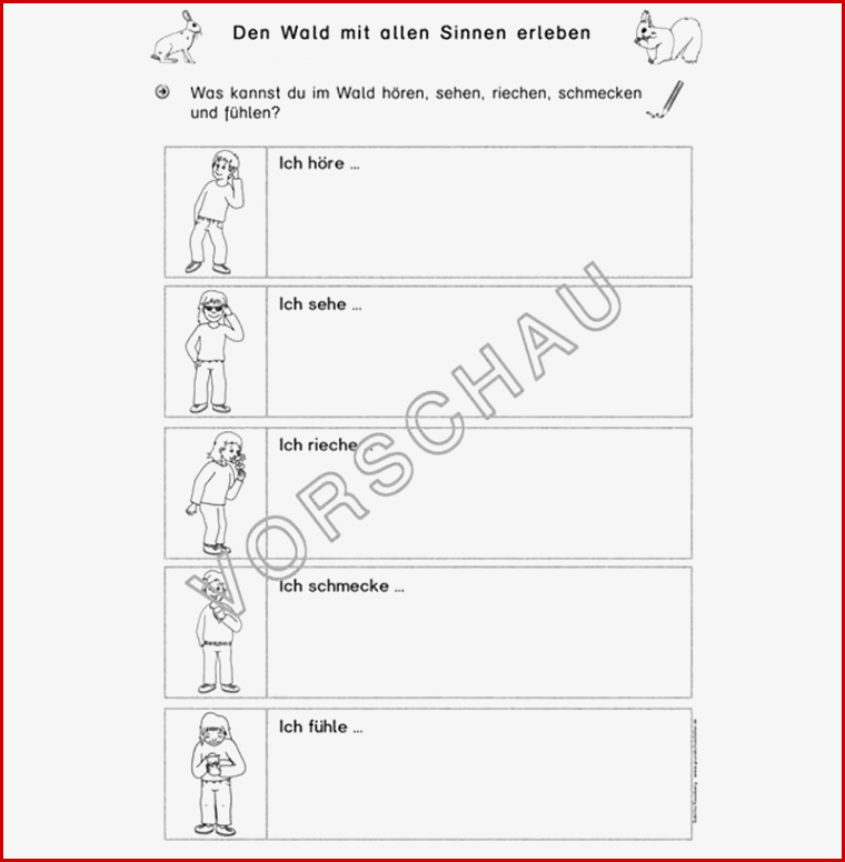 Wald Werkstatt Für Grundschule