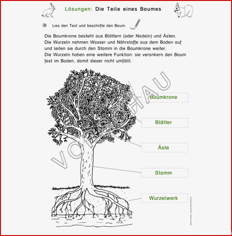 Wald Werkstatt für Grundschule