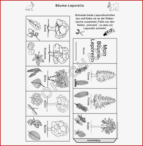 Wald Werkstatt Für Grundschule