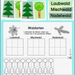 Waldarten Kennen Lernen Tafelkarten Und Arbeitsblatt