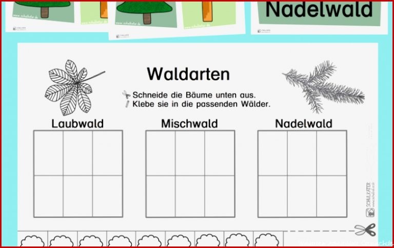 Waldarten kennen lernen Tafelkarten und Arbeitsblatt