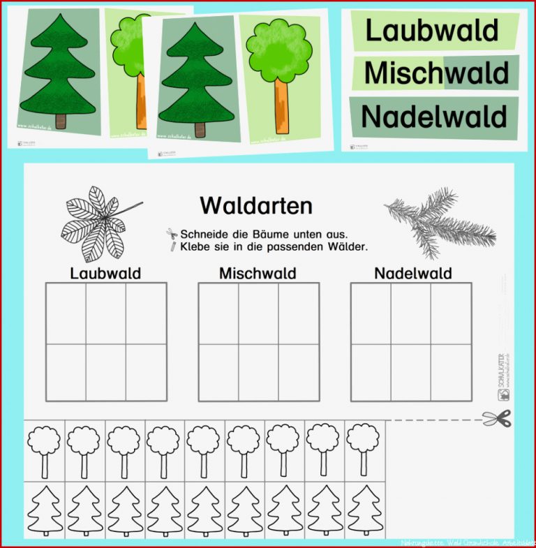 Waldarten kennen lernen Tafelkarten und Arbeitsblatt