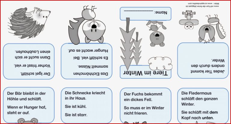 Waldtiere Faltbüchlein Pdf