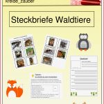 Waldtiere Grundschule Steckbriefe Debbie Preston Schule