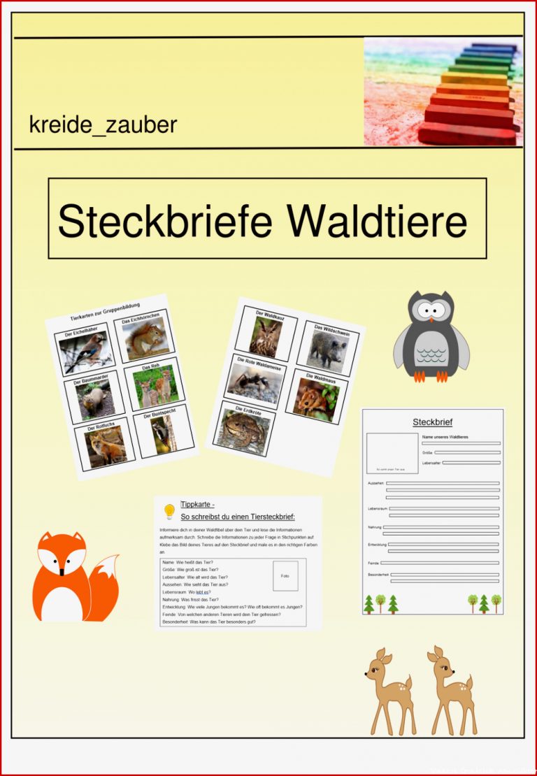 Waldtiere Grundschule Steckbriefe Debbie Preston Schule